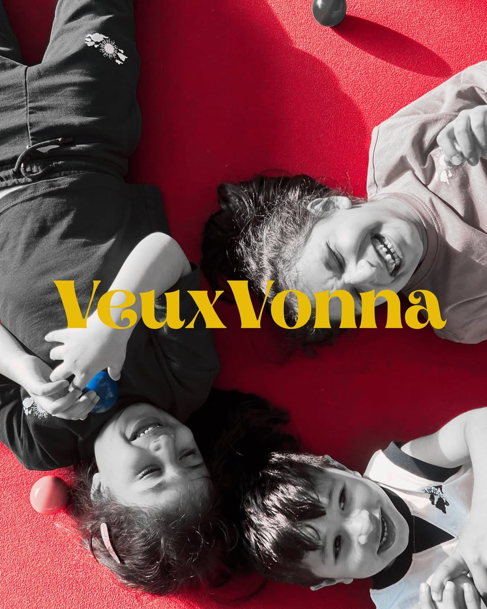 VeuxVonna story